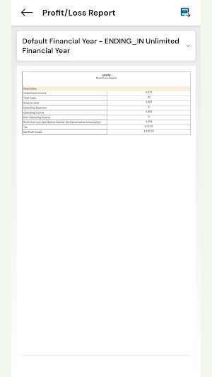 Simple Accounting, BookKeeping Screenshot 3