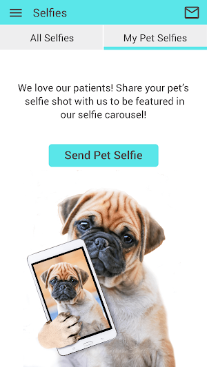 Pacific Animal Hospital MO Screenshot 3