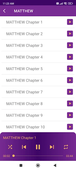 Holy Bible NEV Screenshot 3