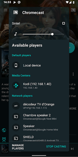 Yatse: Kodi remote control and cast Screenshot 1