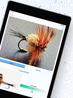 IdentaFly: A.I. Fly Fishing Screenshot 1