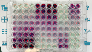 Spotxel® Reader Screenshot 0
