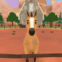 Horse Ride Farm Adventure
