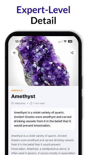 Rock Identifier - Crystals ID Screenshot 3