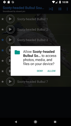 Sooty-headed Bulbul bird sounds ~ Sboard.pro Screenshot 1