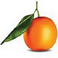 Orange County Brokerage