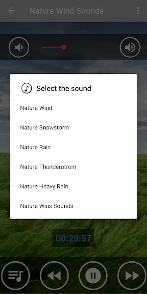 Relaxing Wind Sounds for Sleep Screenshot 1