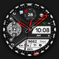 Animated FS W250 Watchface