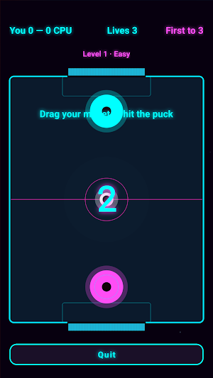 Play Hockey Screenshot 0