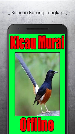 Master Bird Chirping Screenshot 0