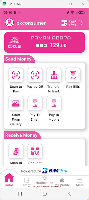 COB Wallet Screenshot 2