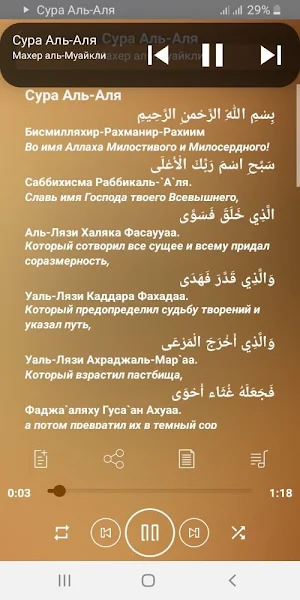 Сура Аль-Аля аудио и текст Screenshot 3