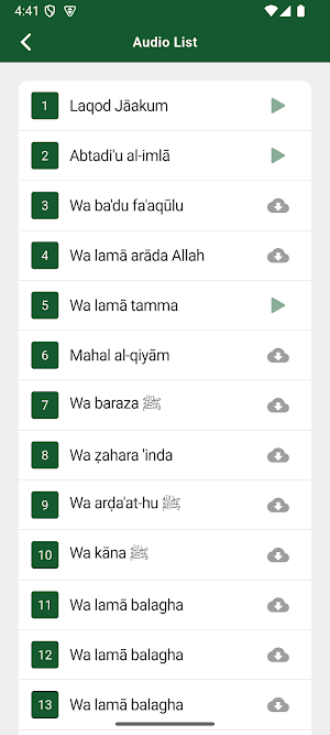 Mawlid Barzanji Multilingual Screenshot 2
