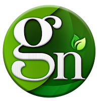 GN Tunnel VPN