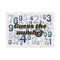 Guess the Number