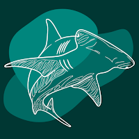 Hammerhead Hub