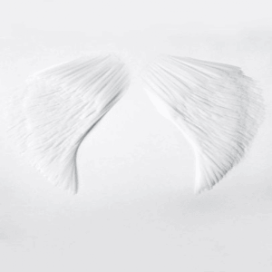 white picture Screenshot 3