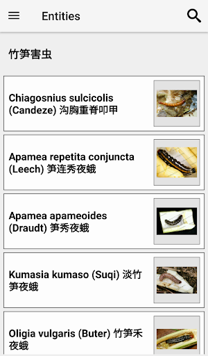 Bamboo Pest ID Screenshot 1
