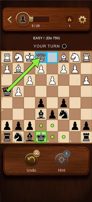 Chess King Match Screenshot 3