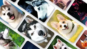 Husky Dog Wallpaper 2023 Screenshot 0