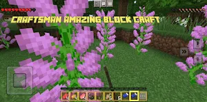 Craftsman Amazing Block3DCraft Screenshot 0