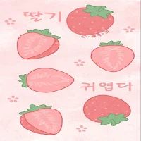 Korean Aesthetic Wallpaper