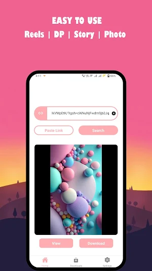 Story Saver & Reels Downloader Screenshot 2