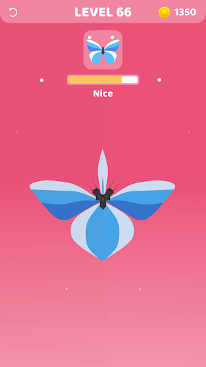 Symmetry Match Screenshot 1