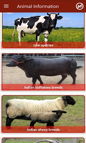 Animal Information in English Screenshot 1