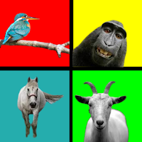 Prank sounds animals