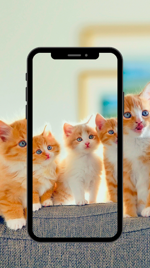 Cat wallpaper 4K,UHD Screenshot 0