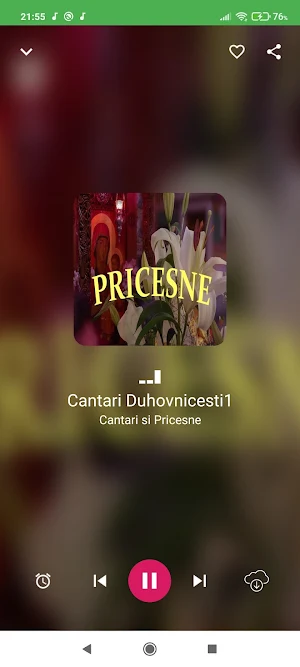 Cântări duhovnicești Pricesne Screenshot 3