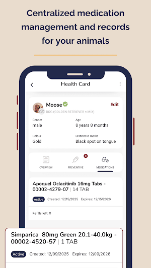 Central Vet Screenshot 3