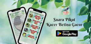 Suara Pikat Kacer Betina Gacor Screenshot 0