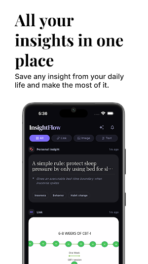 InsightFlow - My Second Brain Screenshot 0