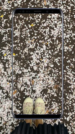 Spring Wallpapers and Backgrounds Screenshot 0
