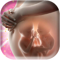 Comment Avoir des Jumeaux - Période de Fertilité