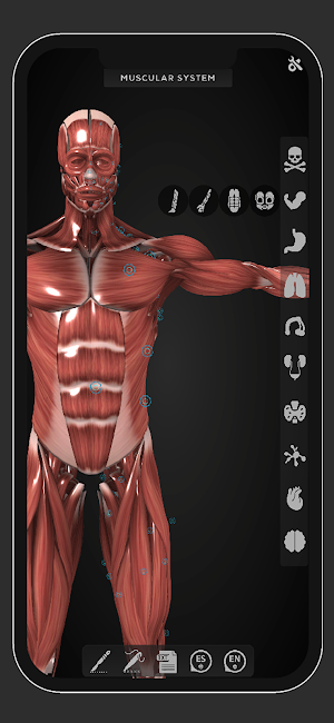 Virtual Medical Anatomy Screenshot 2