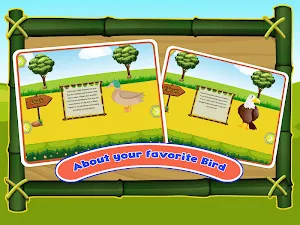 Bird Sounds Fun Learning Games - Coloring & Puzzle Screenshot 0