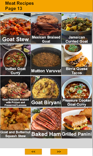 200 Meat Recipes Screenshot 3