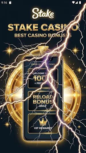 Stake Casino Screenshot 3