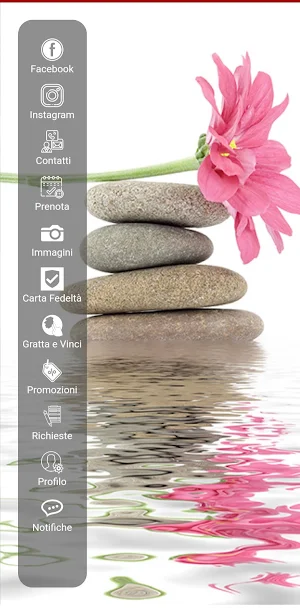 MI Estetica Screenshot 3