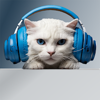 Cat Meow Sounds Kitten Meowing