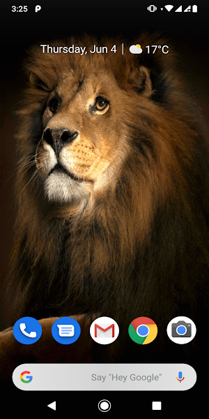 Golden Lion GIF Live Wallpaper Screenshot 0