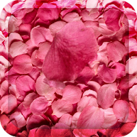 Flower Petals 3D Wallpaper HD