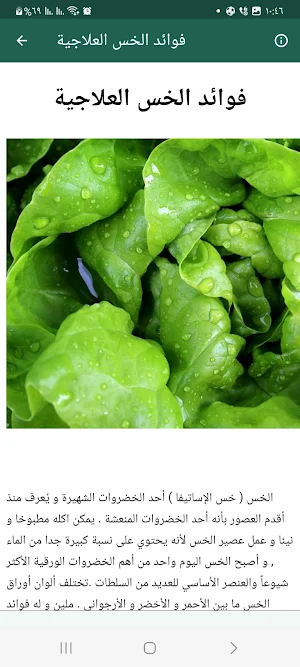 The benefits of lettuce Screenshot 2