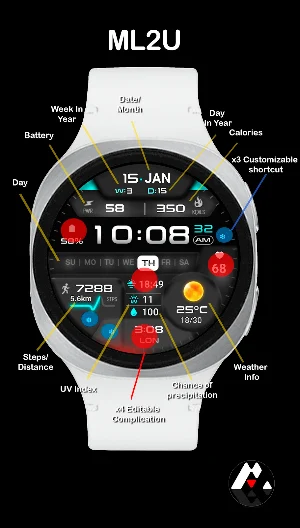 ML2U 381 Hybrid Watch Face Screenshot 1