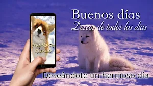 Good Morning Everyday Greetings in Spanish Screenshot 3