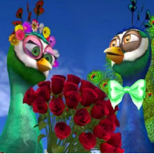 El Pavo y La Pava sin internet Screenshot 1