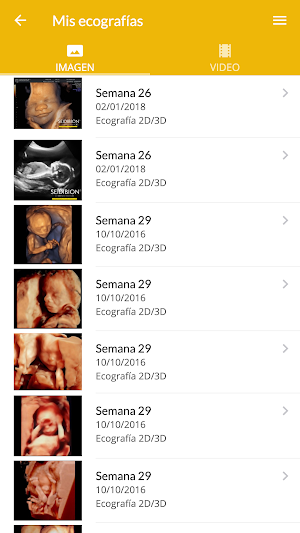 Instituto Palacios - Gestación Screenshot 2